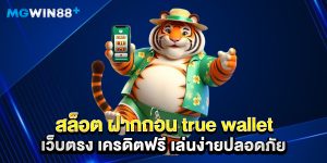 สล็อต ฝากถอน true wallet เว็บตรง เครดิตฟรี เล่นง่ายปลอดภัย