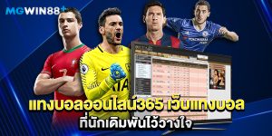 แทงบอลออนไลน์365 เว็บแทงบอล ที่นักเดิมพันไว้วางใจ