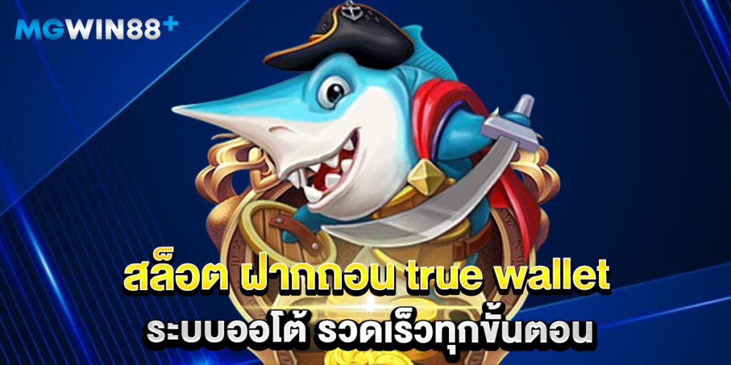 สล็อต ฝากถอน true wallet ระบบออโต้ รวดเร็วทุกขั้นตอน